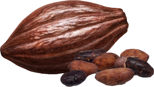 装飾：cacao